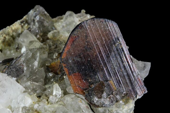 Brookite and Quartz Crystal Association- Pakistan #111328